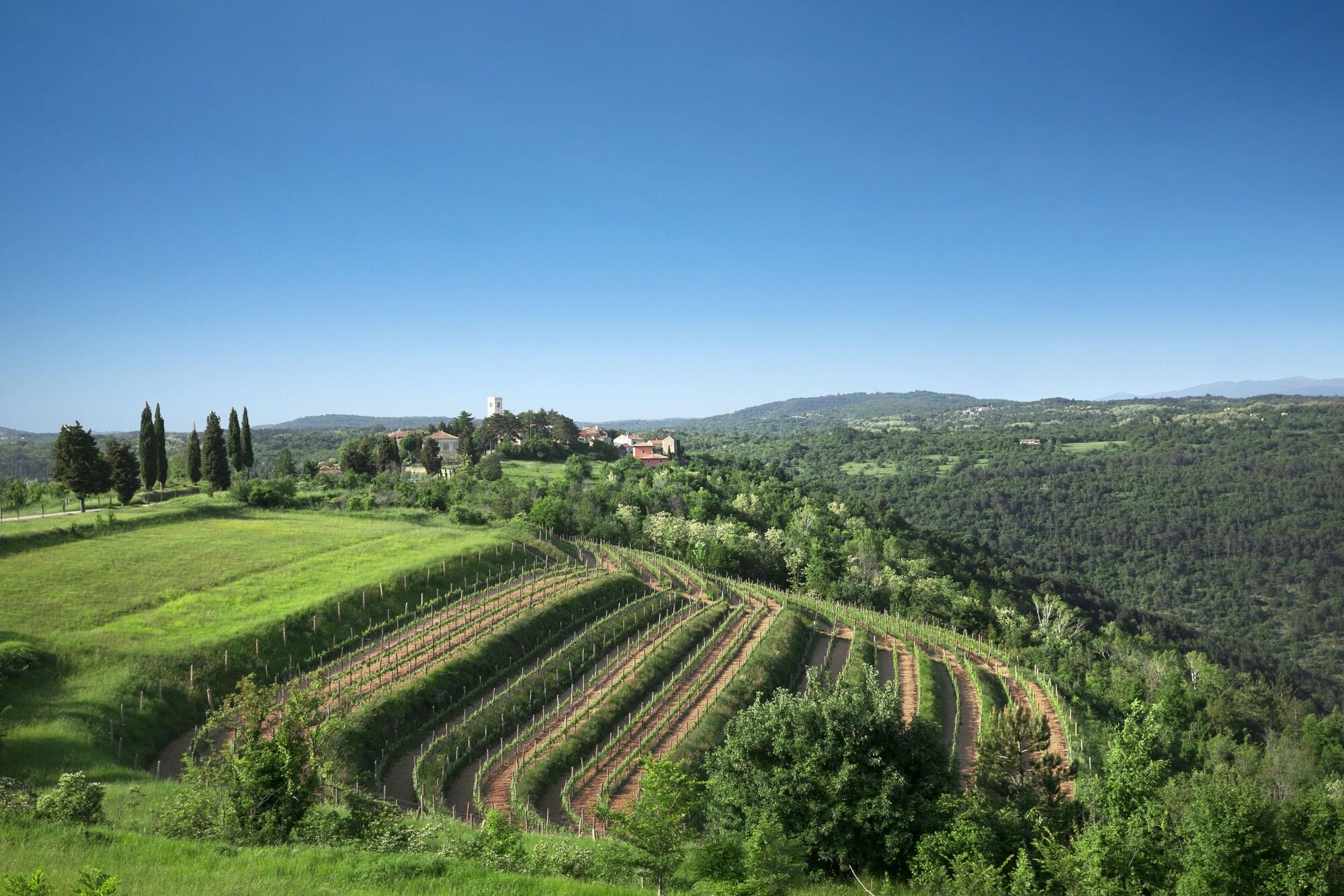 Palazzo Angelica B&B Adults Only Oprtalj Eksteriør bilde